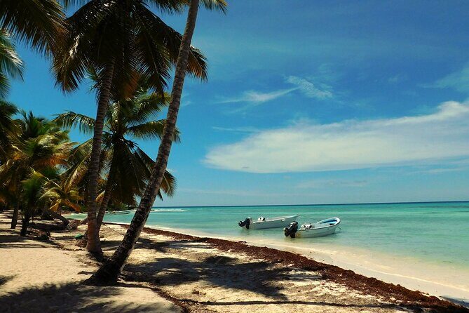 Full-Day Tour to Saona Island from Bayahibe with Lunch - Who Should Consider This Tour?