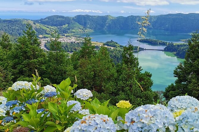Full Day Tour to Sete Cidades, Lagoa Do Fogo and Pineapples - Reviews and Feedback