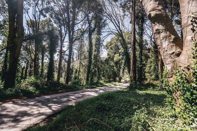 Full-Day Tour to Sintra and Cascais - Customer Support