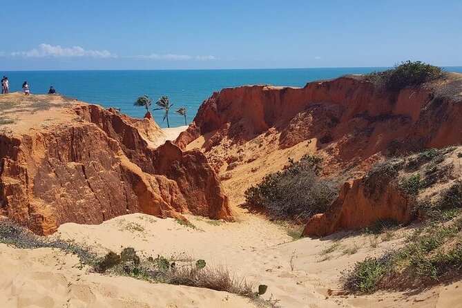 Full Day Tour to the Beaches of Ceará - Guest Reviews