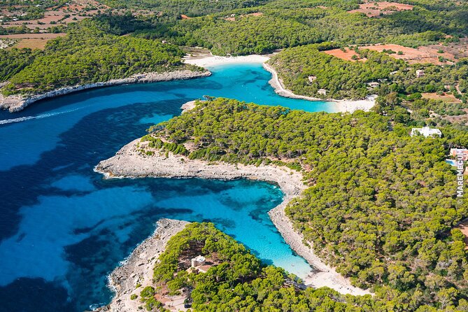 Full Day Tour to the Best Beaches and Coves of Mallorca - Inclusions and Activities