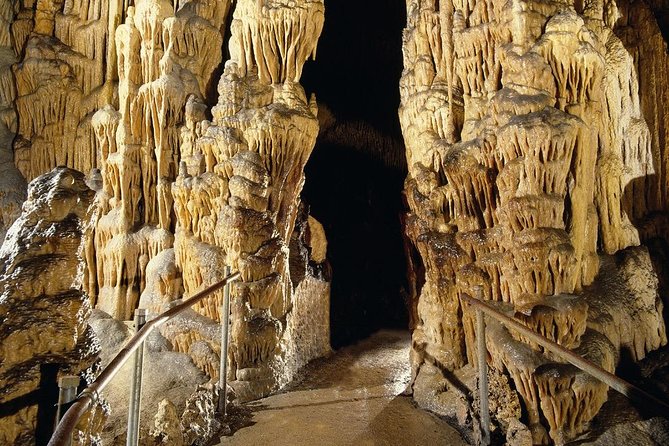 Full Day Tour to the Caves of Drach and Caves of Hams in Mallorca - Cancellation and Refund Policy