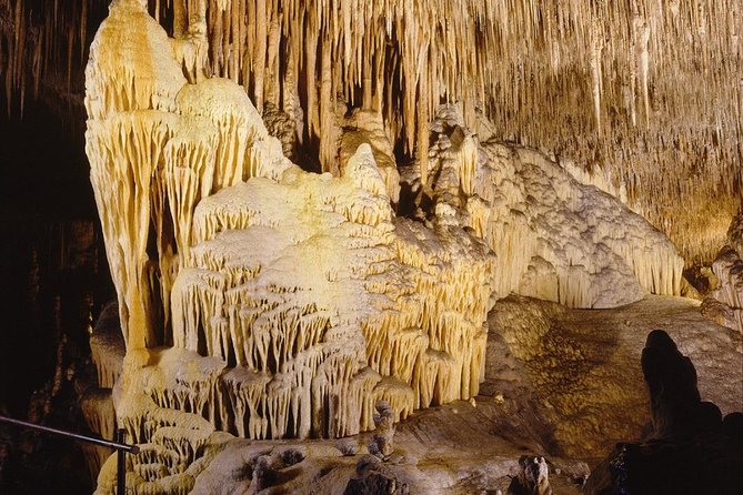 Full Day Tour to the Caves of Drach and Caves of Hams in Mallorca - Traveler Support and Inquiries