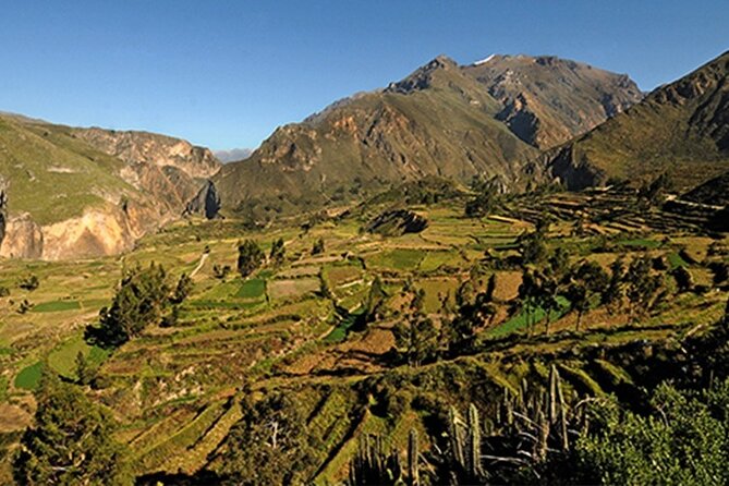 Full Day Tour to the Colca Canyon - Cruz Del Condor Viewpoint