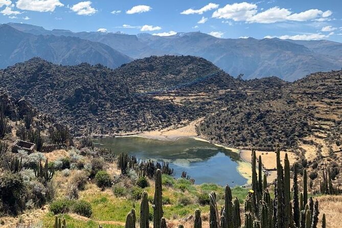 Full Day Tour to the Colca Canyon - Chacapi-Yanque Hot Springs