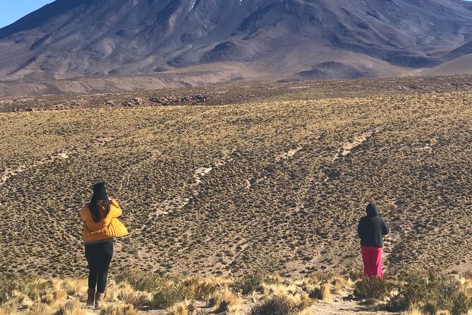Full Day Tour to the Route of the Salt Flats - Pickup and Meeting Options