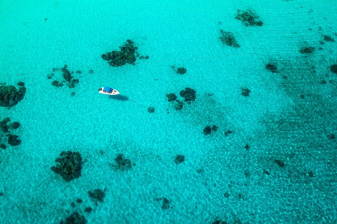 Full-Day Tour to the Similan Islands by Speedboat From Khao Lak - Transportation and Hotel Pickup