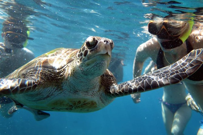 Full-Day Tour to the Similan Islands by Speedboat From Khao Lak - Travelers Feedback and Experiences