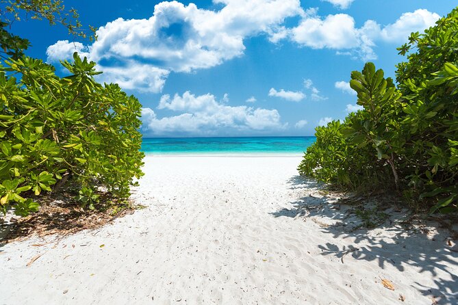 Full-Day Tour to the Similan Islands by Speedboat From Khao Lak - Snorkeling and Marine Life