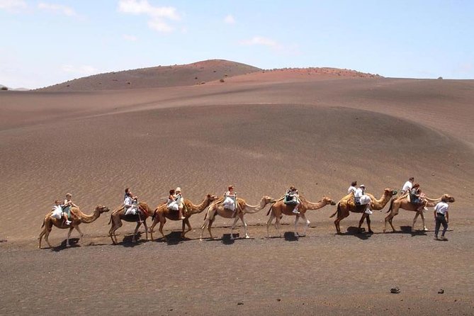Full Day Tour to Timanfaya, Green Lagoon and La Geria - Practical Details