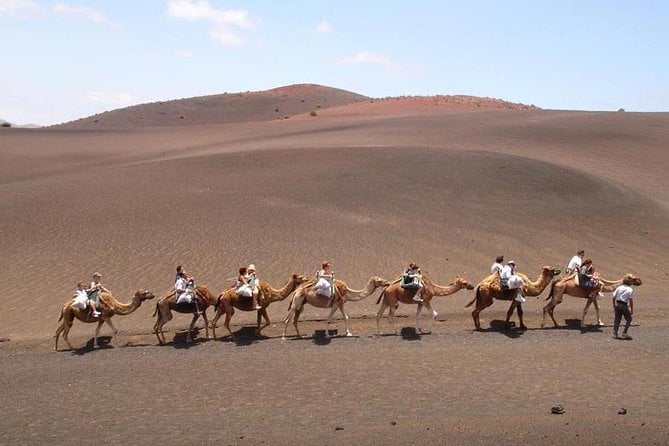 Full Day Tour to Timanfaya, Green Lagoon and La Geria - Customer Reviews
