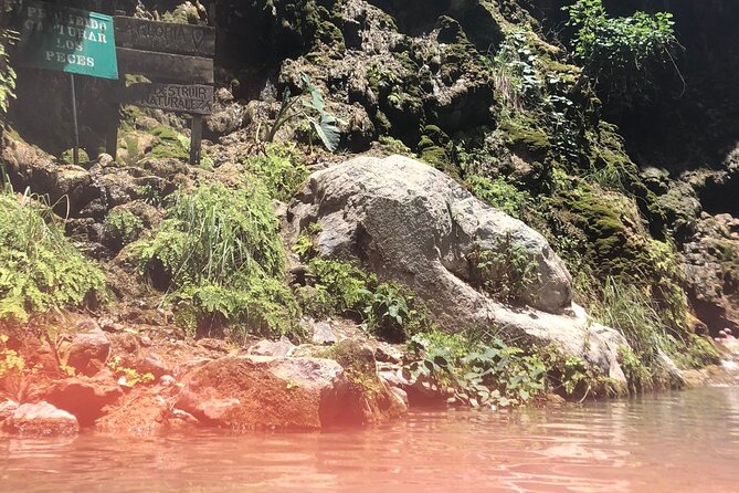 Full-Day Tour to Tolantongo Hot Springs From Mexico City - Tour Experience
