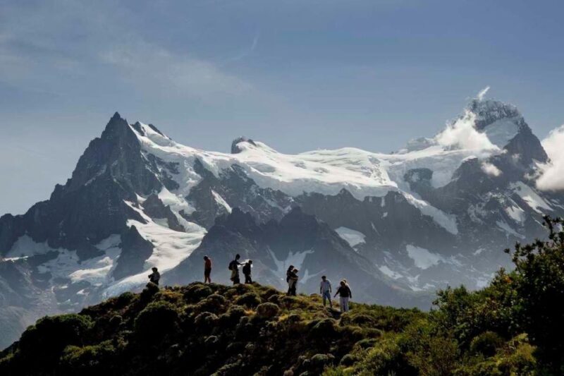 Full-Day Tour to Torres Del Paine National Park - Customer Reviews and Feedback
