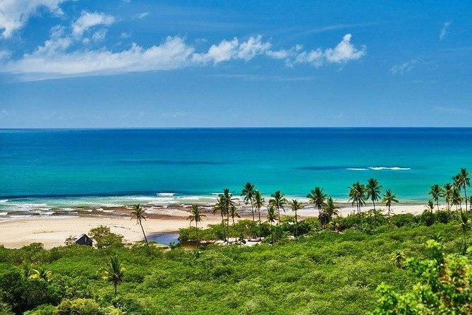 Full-Day Tour to Trancoso and Chocolate Factory From Porto Seguro - Itinerary Highlights