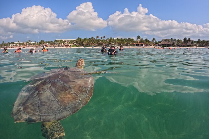 Full Day Tour to Tulum and Akumal With Swim With Turtles - Frequently Asked Questions