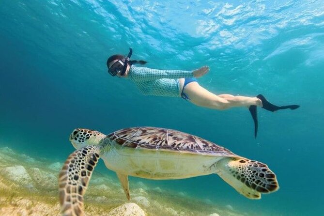 Full Day Tour to Tulum Cenote and Swim With Turtles in Akumal - Cancellation Policy