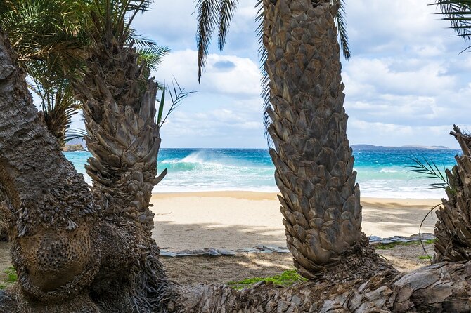 Full-Day Tour to Vai Palm Beach, Toplou Monastery, and Sitia Town - Frequently Asked Questions
