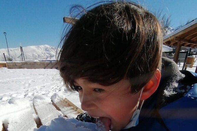 Full Day Tour to Valle Nevado and Panoramic Farellones - Accessibility Options