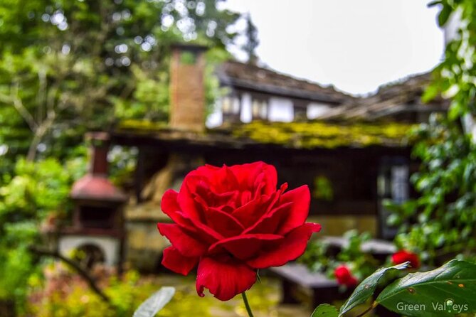 Full-Day Tour to Veliko Tarnovo Reserve of Bozhentsi and Etar From Sofia - Discovering Bozhentsi Reserve