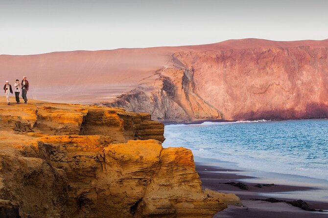 Full Day Tour to Visit Ballestas Islands and Paracas Reserve - Key Points