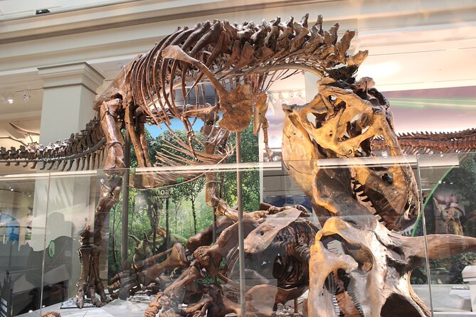 Full Day Tour to Washington From New York - Inclusions and Accessibility