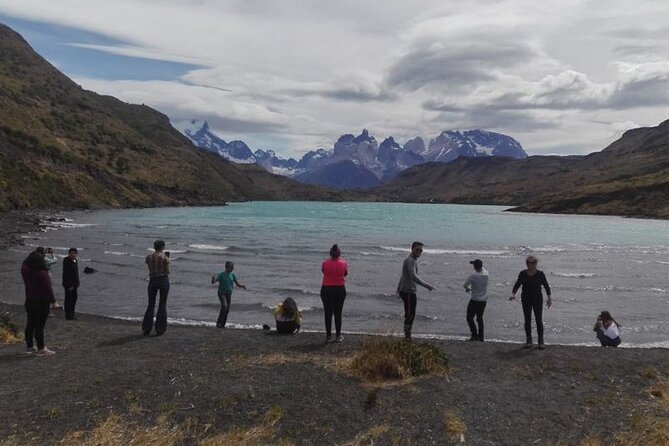 Full Day Tour Torres Del Paine + Milodon Cave - Traveler Feedback and Recommendations