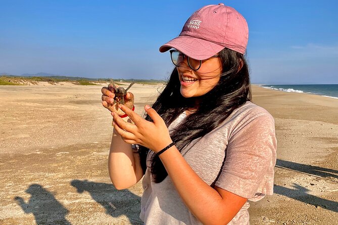 Full Day Tour Turtle Release and Bioluminescence - Inclusions