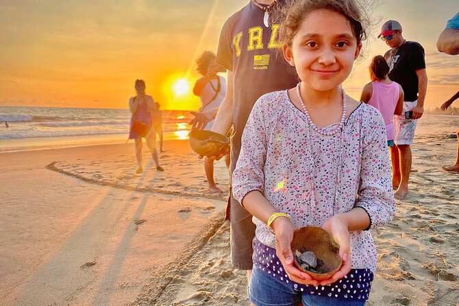 Full Day Tour Turtle Release and Bioluminescence - Local Cuisine and Tastings