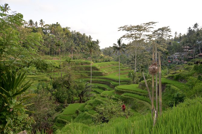 Full-Day Tour Ubud Best Things to Do in Ubud - Admiring Tegenungan Waterfall