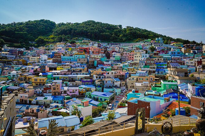 Full-Day Tour Unmissable Things to Do in Busan - What to Expect on the Tour