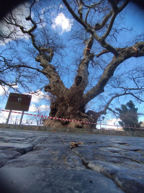 Full-Day Tour:Knossos Palace,Zeus Cave & Lassithi Plateau - Traditional Village of Krasi