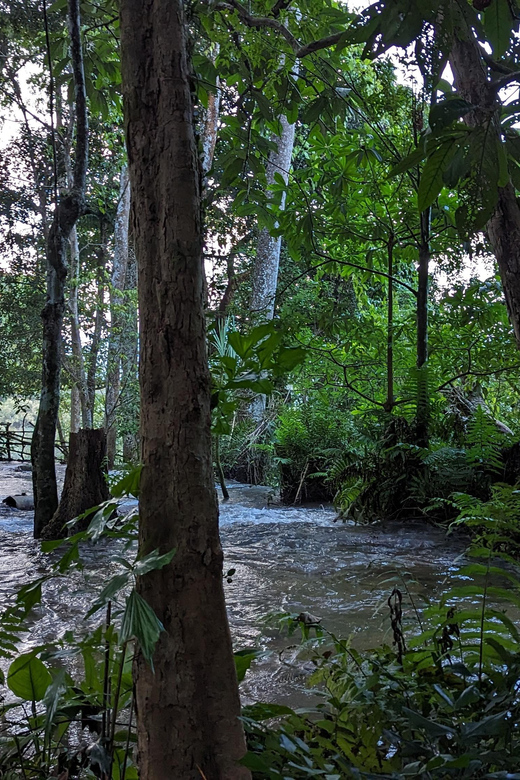 Full Day Trek to Kuang Si Waterfalls, Remote Village - Pricing and Cancellation