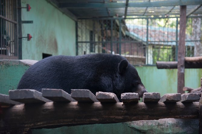 Full Day Trek to Kuang Si Waterfalls, Remote Village - Reviews Summary