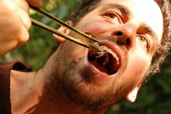 Full Day Trekking & bamboo cooking Tour in Chiang Rai - Introduction: A Taste of Chiang Rai’s Wilderness and Culture