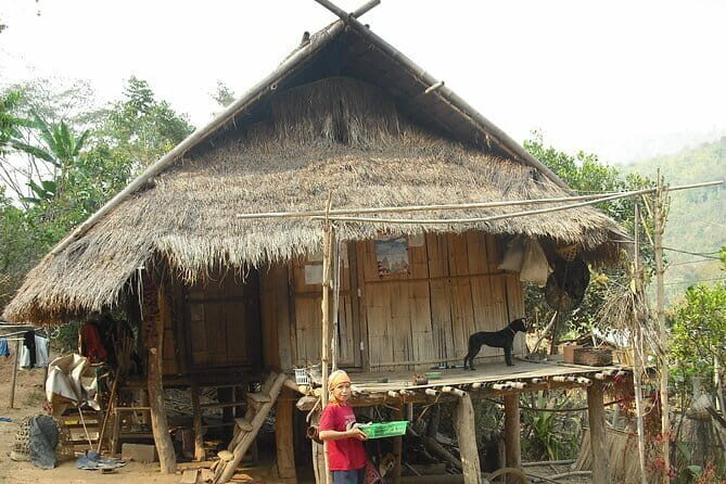 Full Day Trekking & bamboo cooking Tour in Chiang Rai - Who Should Consider This Tour?