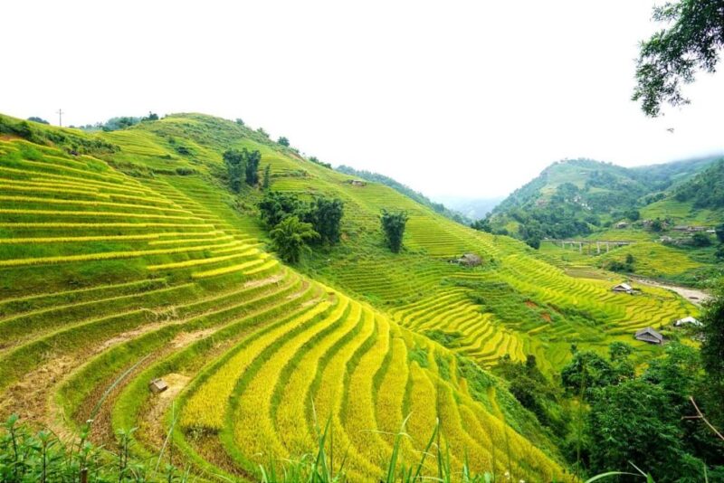 Full Day Trekking Lao Chai-Ta Van and Cat Cat Village - Inclusions