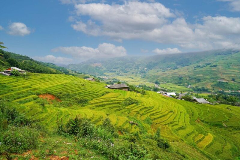 Full Day Trekking Lao Chai-Ta Van and Cat Cat Village - Highlights