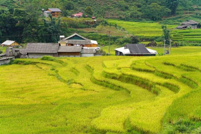 Full Day Trekking Lao Chai-Ta Van and Cat Cat Village - Exploring Lao Chai and Ta Van