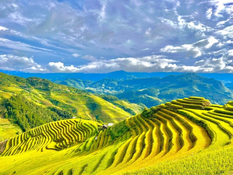 Full Day Trekking Mu Cang Chai - Key Points