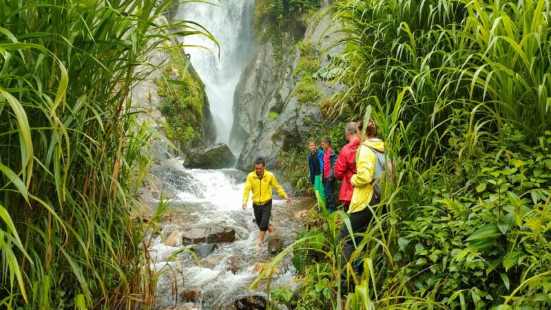 Full Day Trekking Mu Cang Chai - Participant Requirements