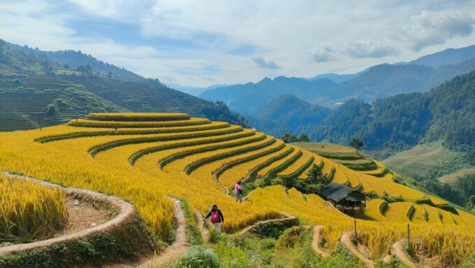 Full Day Trekking Mu Cang Chai - Tour Departure and Return