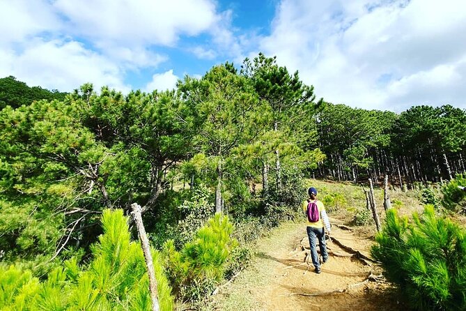 Full Day Trekking on Langbiang Mountain - Key Points