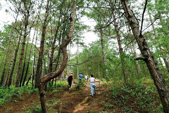 Full Day Trekking on Langbiang Mountain - Inclusions and Exclusions