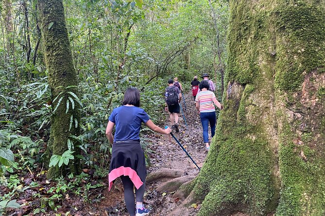 Full Day Trekking on Langbiang Mountain - Meeting and Pickup Details