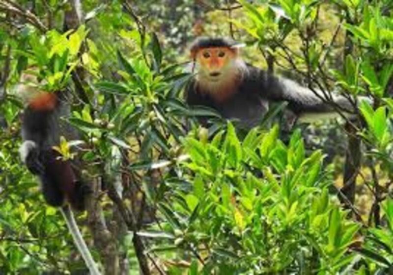 Full-Day Trekking Tour Bach Ma National Park From Hue City - Key Points