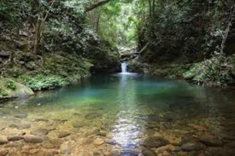 Full-Day Trekking Tour Bach Ma National Park From Hue City - Trekking to Do Quyen Waterfall