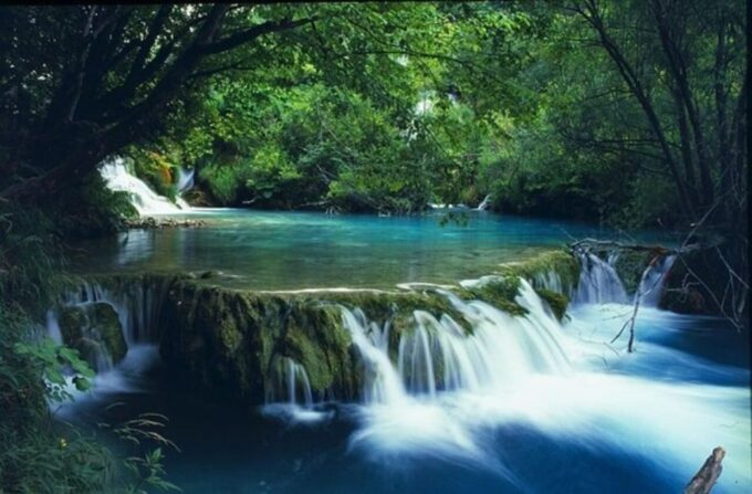 Full-Day Trekking Tour Bach Ma National Park From Hue City - Picnic Lunch Included