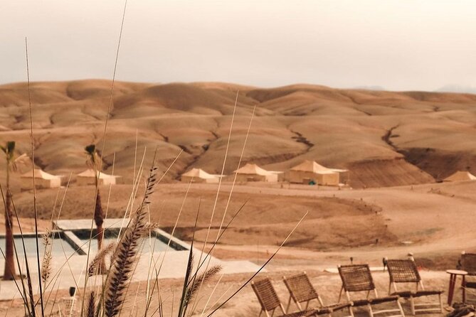 Full Day Trip Agafay Desert Atlas Mountains Camel Ride Quad Bike - Pickup and Accessibility