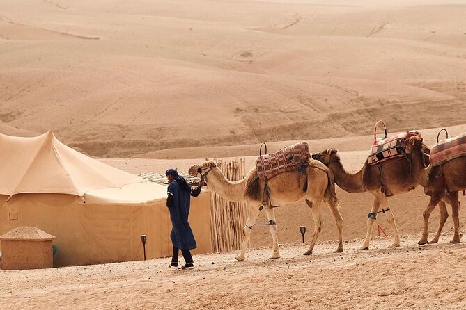 Full Day Trip Agafay Desert Atlas Mountains Camel Ride Quad Bike - Camel Ride Experience