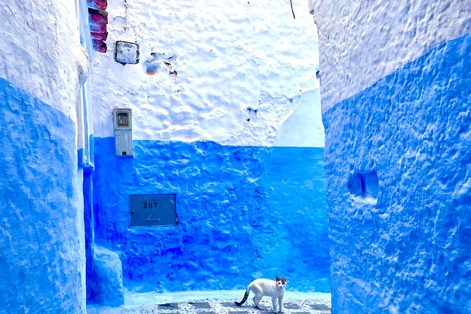 Full-Day Trip Akchour Waterfalls and Chefchaouen - About Akchour Waterfalls